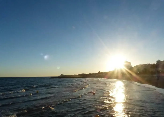 Daire Center & Espalter